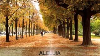 Pai eu quero te amar