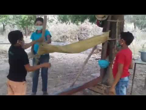 YouTube video