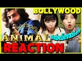 Reactions of Koreans watching a Bollywood ANIMAL OFFICIAL TRAILER! | Ranbir Kapoor
