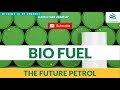BIOFUEL Future Petrol