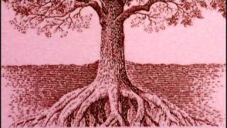 Purpose Driven Life Subliminal Messages