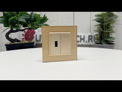 Розетка USB с блоком питания 2.1А 5В Livolo, цвет золотой (механизм) BB-C7-1USB-13