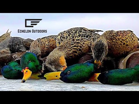 DUCK HUNTING an ICY MUD HOLE for MALLARDS & WIDGEON