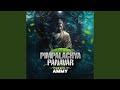 Pimpalachya Panavar Remix