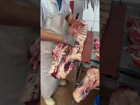 Zerlegung Rinder Rücken von der Rotbunten Färse