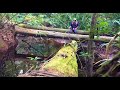 Jungle Creek Fishing And Hunting Catch Clean And Cook