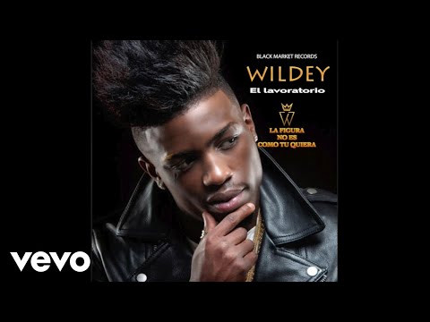 Wildey - La Figura No Es Como Tu Quiera (Official Audio)