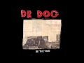 Dr. Dog - Turning The Century - Track 12
