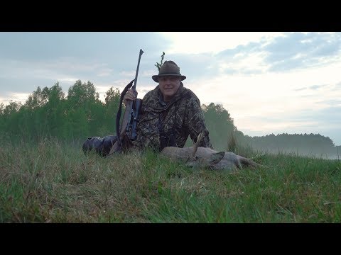 Alter Abschussbock erlegt und reichlich Sauen!