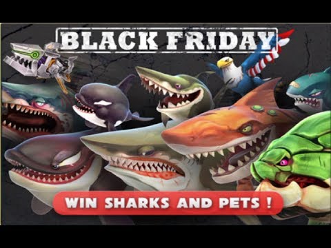 Great White Happy Thanksgiving Live Contest (Most Gold) - Hungry Shark World