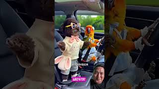Download lagu Dogi Wants to Dance #shorts #shortvideo #shortsfund #youtubeshorts #feedshorts #bebsdeta mp3 Download lagu Dogi Wants to Dance #shorts #shortvideo #shortsfund #youtubeshorts #feedshorts #bebsdeta mp3
