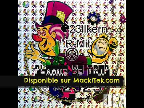 B1 PLAQUE DE TRIP 2323 - ZELLKERN