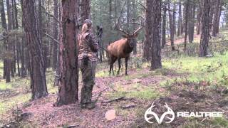 15-Yard Files: Female Bowhunter Stares Down Giant Bull Elk at 4 Yards