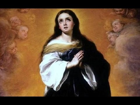 Immaculate Conceptione Beatae Mariae Virginis