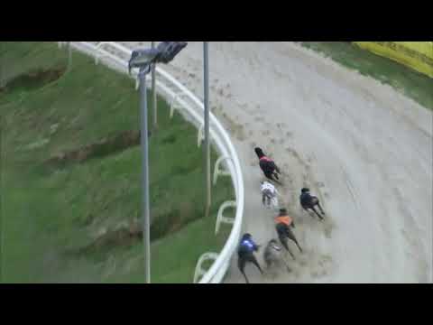 2017 WILLIAM HILL GRAND PRIX - 2ND SEMI - T1 SWIFT HANSEL