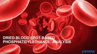 Fully Automated Analysis of Phosphatidylethanol from Dried Blood Spots with Hematocrit Correction