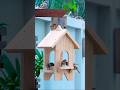 Woodworking EXPERT Shares Secret to Building Bird Feeders in MINUTES!