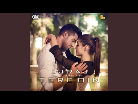 Tere Bin (Chorus)