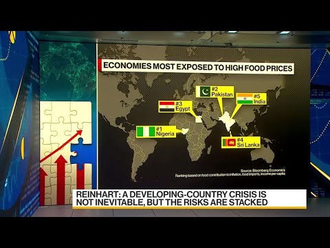 Thumbnail for World Bank Cuts 2022 Global Growth Outlook by Carmen Reinhart