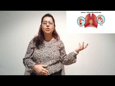 2021 Virtual AUT 3MT Competition Doctoral Finals – Rashi Bhalla