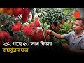 বিদেশি লিচু রামবুটান ফলছে ময়মনসিংহে