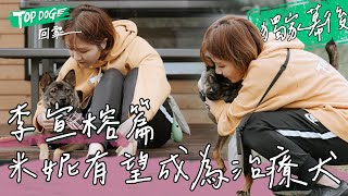TOPDOG 獨家幕後｜李宣榕為節目租房養米妮！一起微浪浪生活3個月 厚厚日記本珍藏回憶📖 全都是愛啊~米妮有望成為治療犬幫助他人