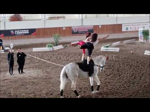 CVN Volteggio 2023 - pdd D over 13 - 2° Ippogrifo