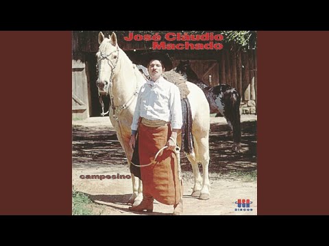 DEFUMANDO AUSÊNCIAS