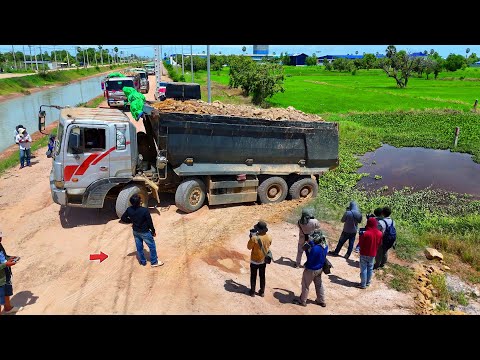 Full Video Be Careful ! Landfill Task by Dump Truck 25.5Ton & Dozer D60P Push Stone Soil, Mix 2VDO