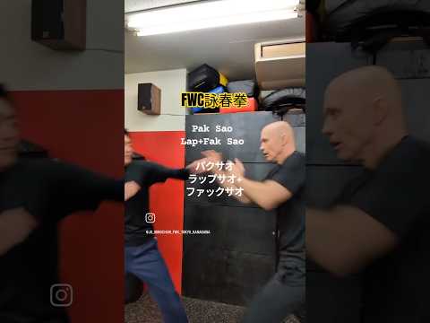 ストレートパンチを交差するコンビネーション　 #詠春拳 #技紹介 #ファンクショナル　 #combatsport #格闘技 #護身術