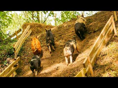 New Pig Race Track - The Cliff Racetrack