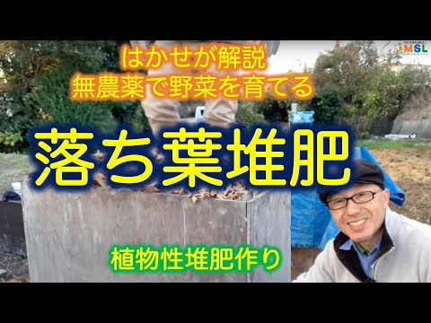 落ち葉をリサイクルするための5つのヒント！  庭園