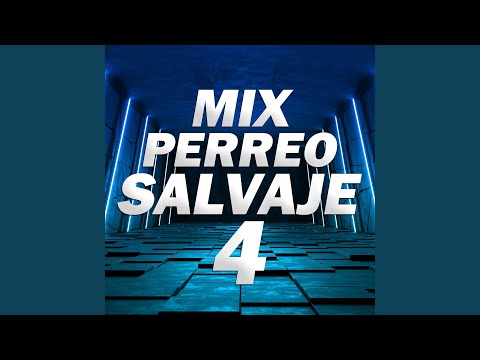 Mix Perreo Salvaje 4