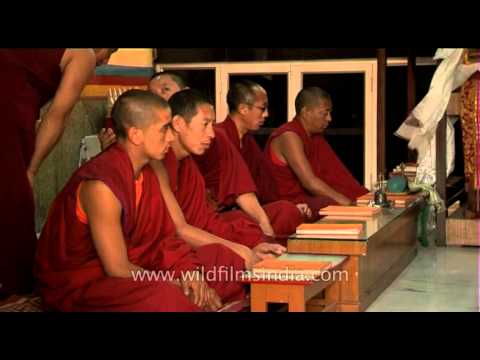 Tibetan monks tantric overtone Chant in Delhi