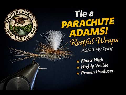 Parachute Adams