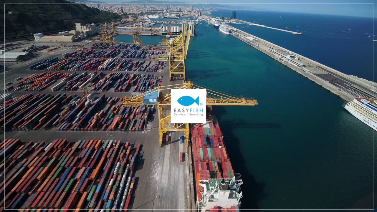 EASYFISH Presentation