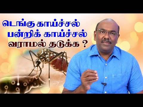 டெங்கு காய்ச்சல் பன்றி காய்ச்சல் | Dengue fever | swine flu fever | Dr. Dhanasekhar | SS CHILD CARE Video