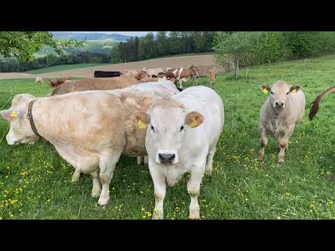 Switzerland Village: Dagmersellen (LU) part 2