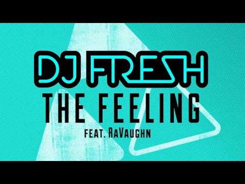 DJ Fresh feat. RaVaughn - The Feeling (Metrik Remix)