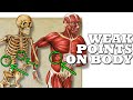 Most Effective Spots on the Body to Hit in a Fight