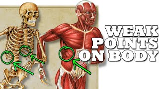 Most Effective Spots on the Body to Hit in a Fight