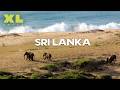 Sri Lanka Das Schönste Naturparadies Unserer Erde XL Naturdoku