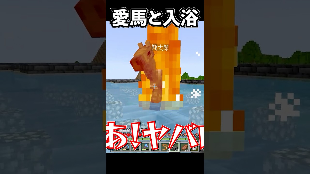 火に弱すぎる【マイクラ実況】#マイクラ