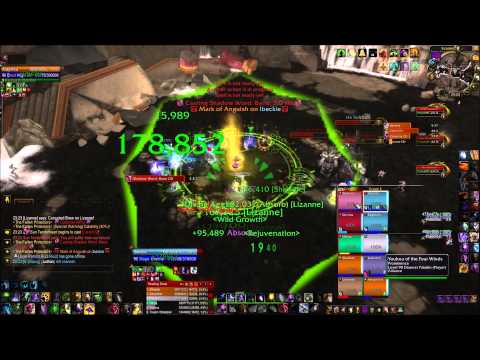 WoW 10man heroic Fallen Protectors