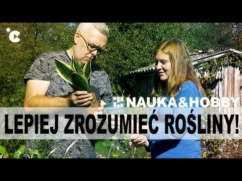 , title : 'Nauka&hobby: Rośliny doniczkowe – 3, 2, 1 start [cz.2]'
