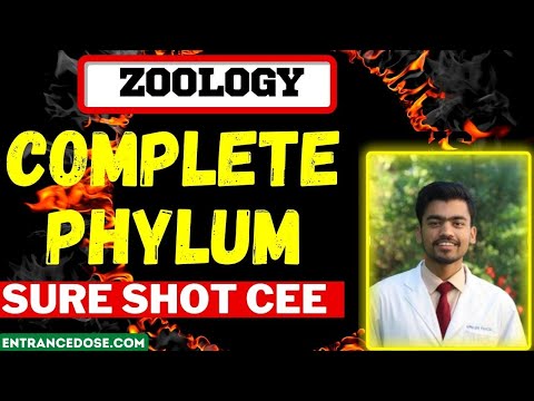 8 Marks Phylum Complete Sure Shot 🔥With Most Important Questions For CEE 🔥🌸