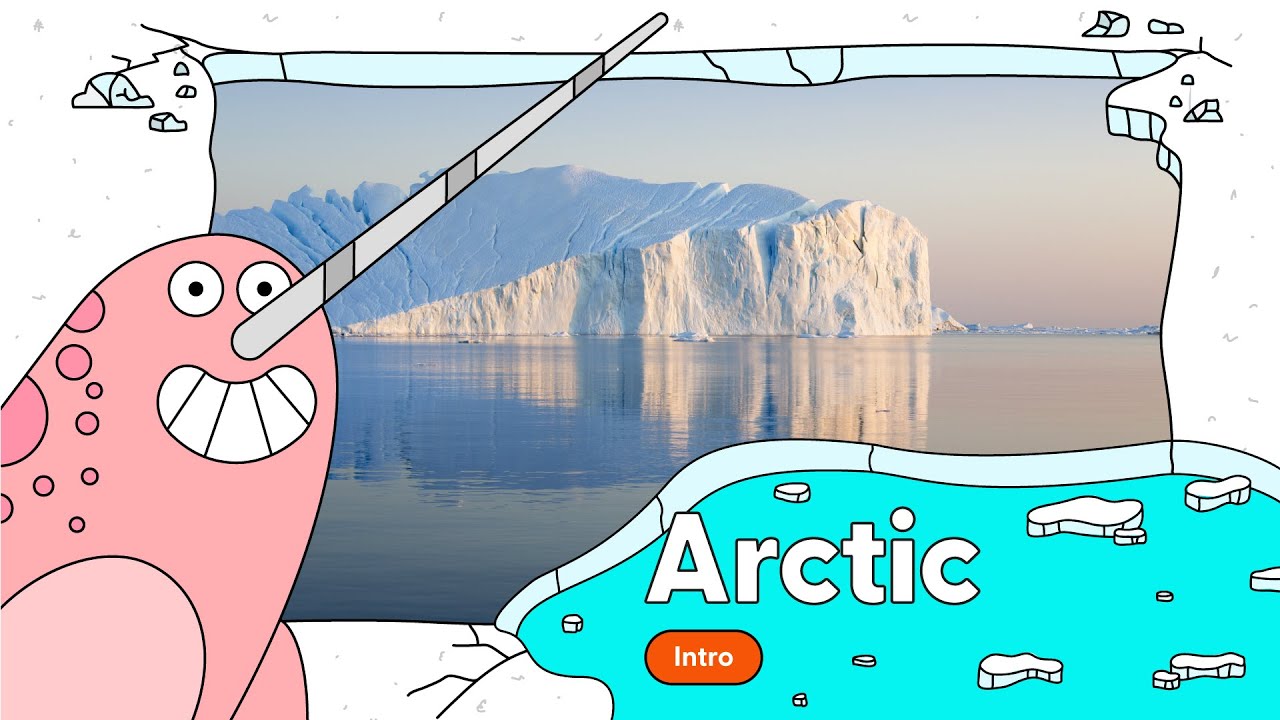 Arctic Intro
