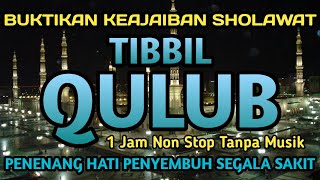 Download lagu SHOLAWAT TIBBIL QULUB MERDU FULL 1 JAM TANPA MUSIK, SHOLAWAT PENYEJUK HATI PENYEMBUH SEGALA PENYAKIT mp3 Download lagu SHOLAWAT TIBBIL QULUB MERDU FULL 1 JAM TANPA MUSIK, SHOLAWAT PENYEJUK HATI PENYEMBUH SEGALA PENYAKIT mp3