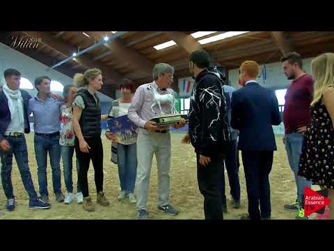 N.6 NOHIBA REGALIS - Milan 2018 - Yearling Fillies Championship (Class 15) 1st place