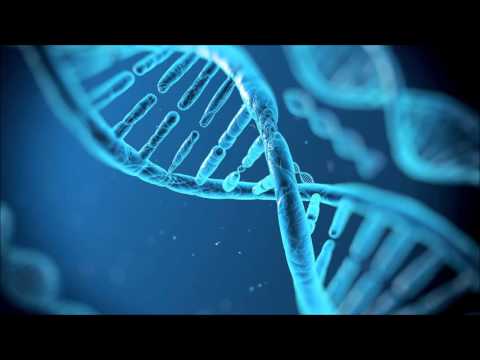 Domyeah - Genetic Superiority